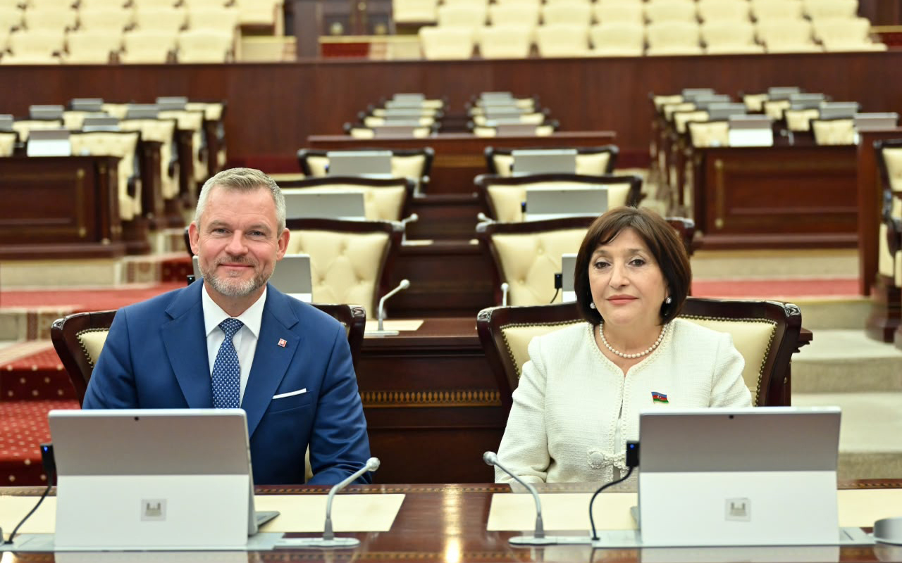 Milli Məclisdə Azərbaycan–Slovakiya əlaqələri müzakirə olundu-FOTO