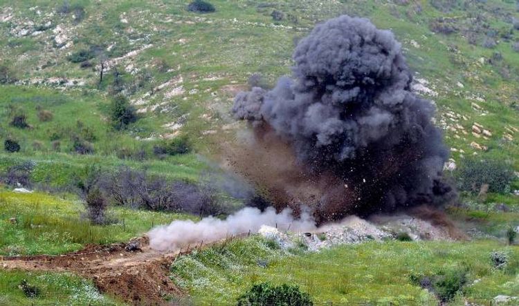 Kəlbəcərdə mina partladı: Üç baş xırdabuynuzlu heyvan zərər gördü