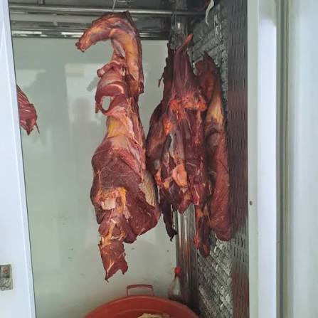 Kabab evində biabırçı fakt: Ətdən yenə at DNT-si çıxdı