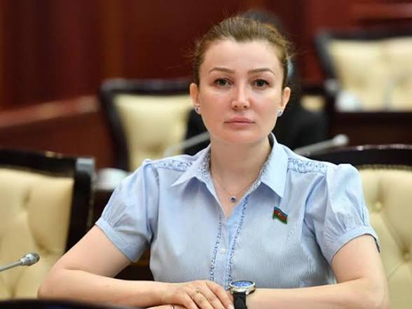 Keçmiş deputat BDU-da tələbə oldu – yeni ixtisas seçdi