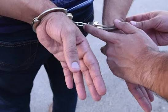 Sabirabadda həyətində 55 narkotik kol yetişdirən şəxs həbs edilib