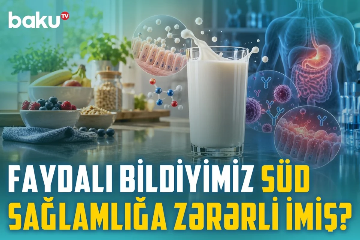 Qarında köp nədən yaranır? Süd həqiqətən zərərlidir? – “Baku Med”