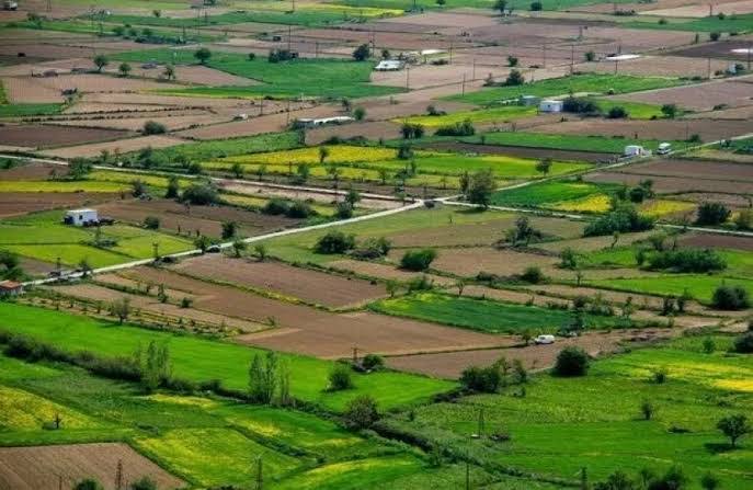 Kənd təsərrüfatı torpaqlarının bölünməsinə yeni məhdudiyyət – 5 hektardan az olmayacaq