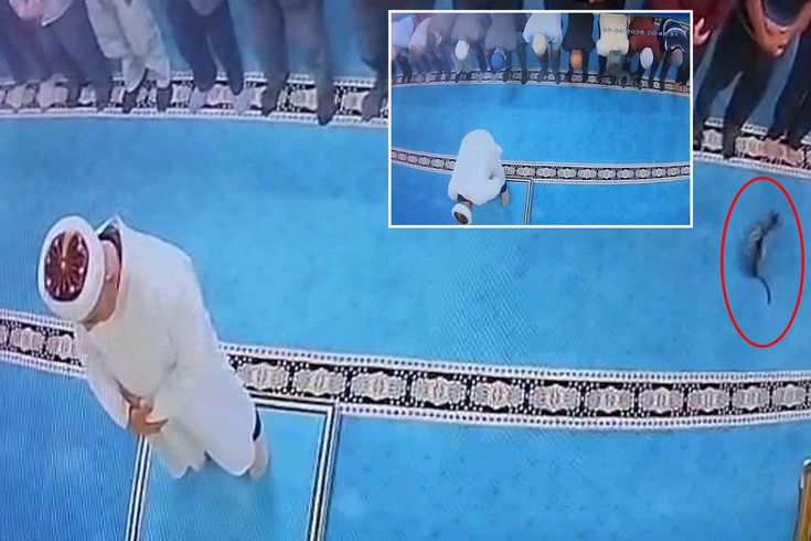 Namaz zamanı pişiyi təpiklədi, polis tərəfindən saxlanıldı-VİDEO